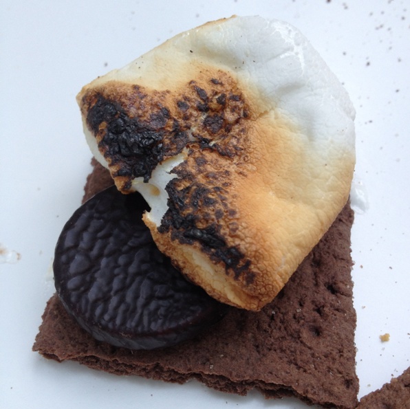 Mint chocolate s'more