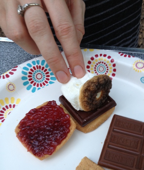 Raspberry dark chocolate s'more