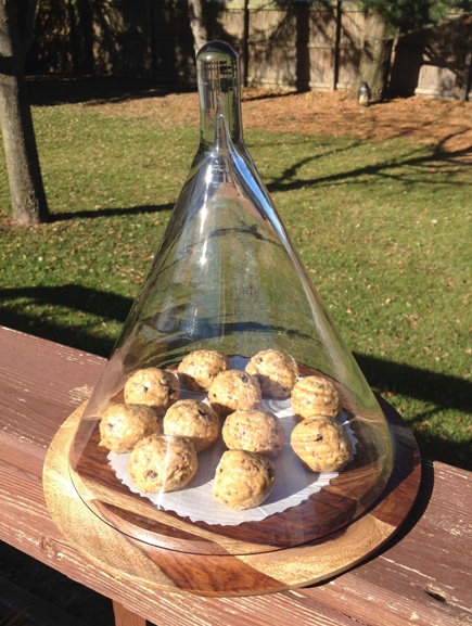 Cute domed serving tray!